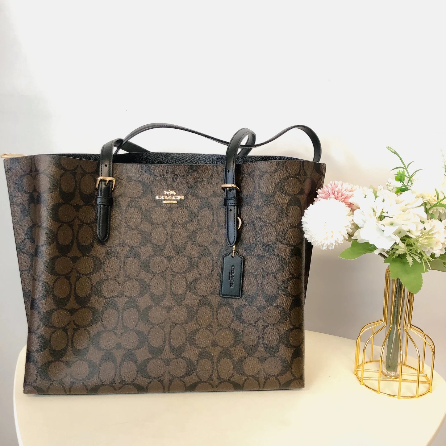 Coach Mollie Tote