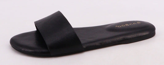 Plain Slides